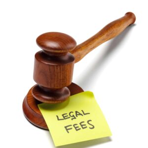Payment of Government Fee for Brand Registry