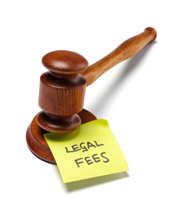Payment of Government Fee for Brand Registry